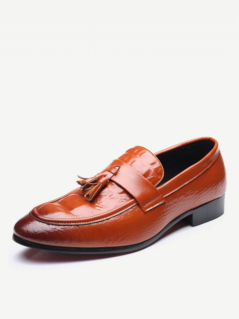 Męskie Krokodyle Wzór Tessel Dekoracja Skórzane Mokasyny Slip On Dress Shoes