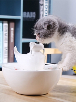 Kot Ceramiczny Dozownik Wody Automatyczny Cyrkulacja Żywa Woda Pet Inteligentny Artefakt Karmienia Artykuły Dla Kotów