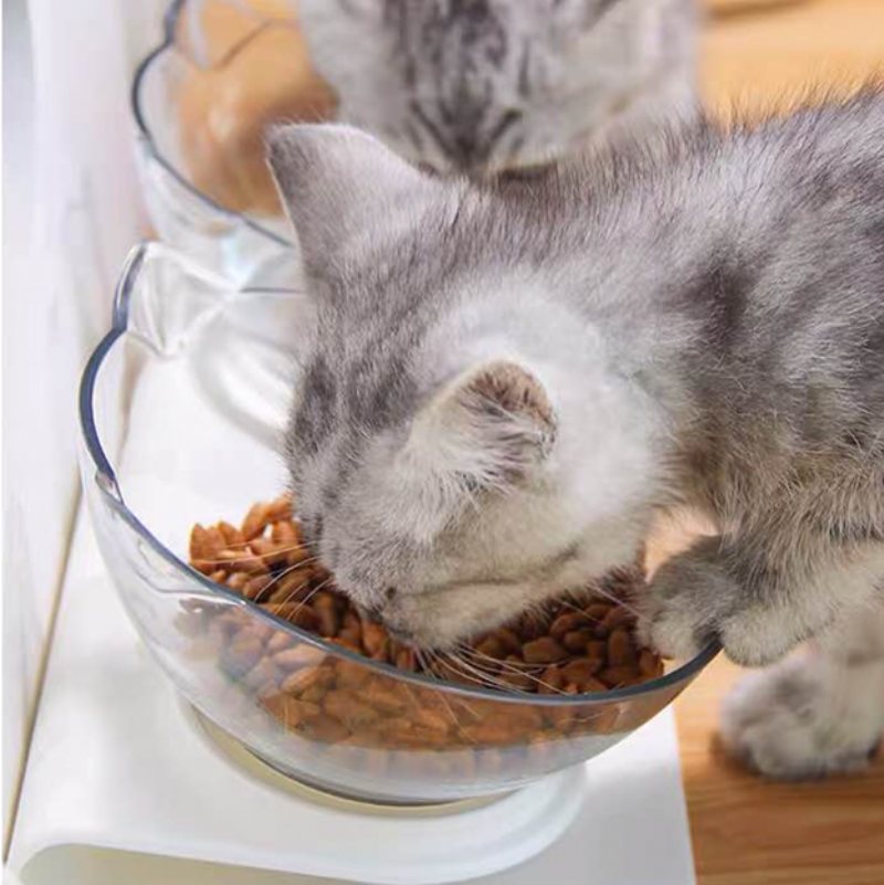 Ochrona Miski Dla Kota Kręgosłup Szyjny Ukośne Usta Pojedyncza Miska Na Karmę Dla Kotów Na Dla Tilt Cat Pet Bowl