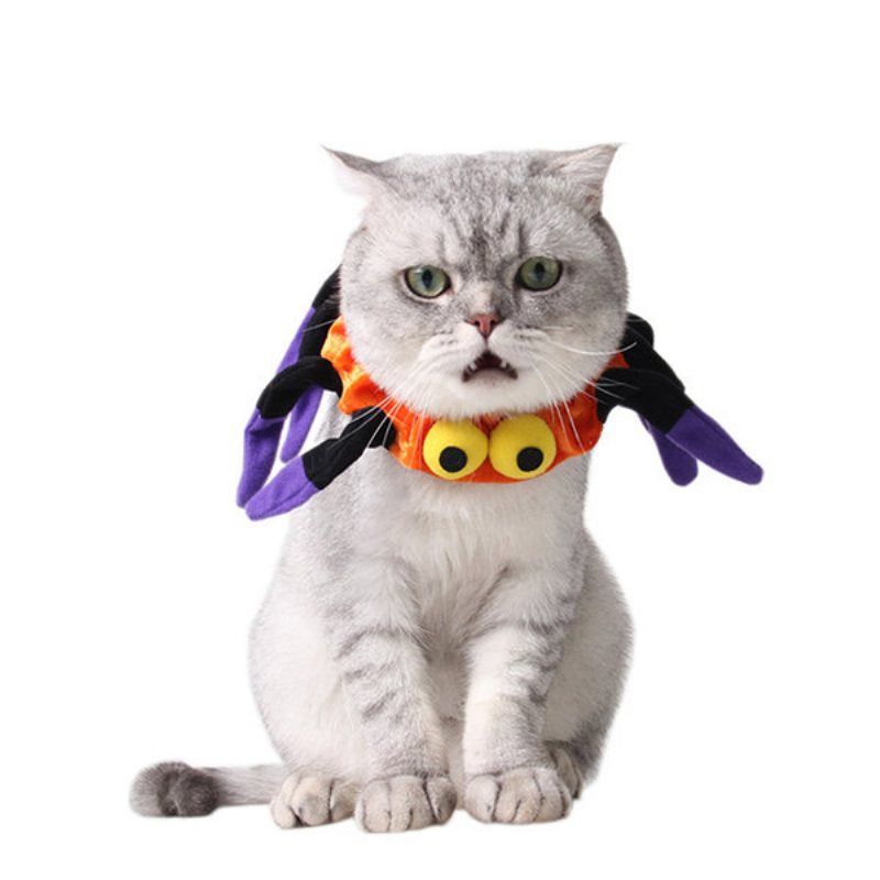 Pet Spider Collar Dog Cat Puppy Kitty Cap Halloween Supplies Pet Costume