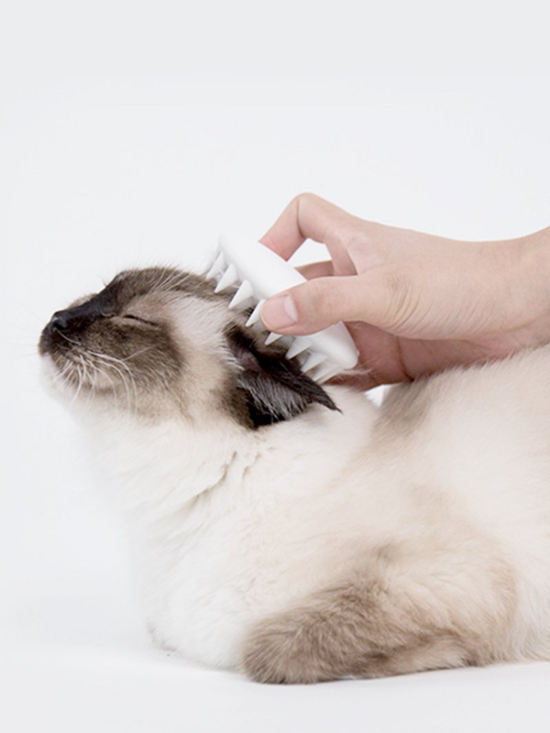 Petkit Pet Cat Grooming Urządzenie Do Masażu Szczotka Z Grzebienia Silicon Z Miękką Gumą
