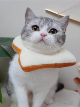 Regulowany Kołnierz Elizabeth Cat Toast Bread Pet Anti-smashing Ring Obroża Dla Kota Anti-grab Bite