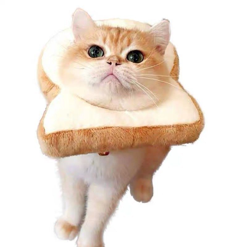 Regulowany Kołnierz Elizabeth Cat Toast Bread Pet Anti-smashing Ring Obroża Dla Kota Anti-grab Bite