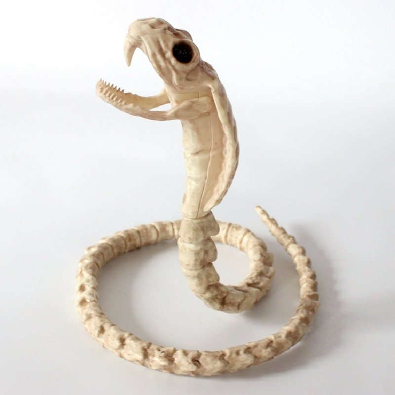 Szkielet Cobra Snake Bone Haunted House Decoration Zginalny Korpus