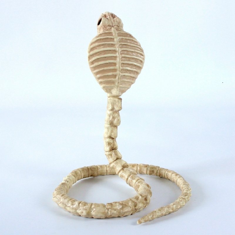 Szkielet Cobra Snake Bone Haunted House Decoration Zginalny Korpus