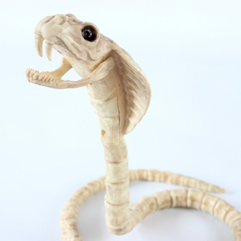 Szkielet Cobra Snake Bone Haunted House Decoration Zginalny Korpus