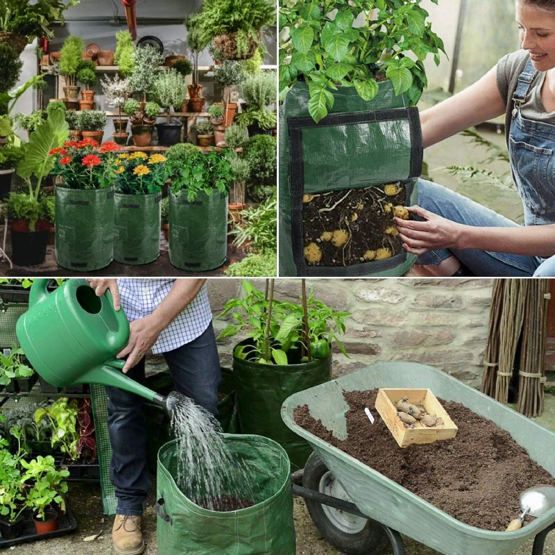 Sadzarka Do Ziemniaków O Dużej Pojemności 50l Pojemnik Pe Pokrowiec Pomidor Vegatables Garden Outdoor