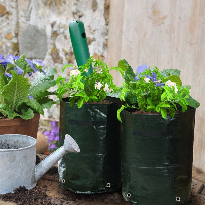 Sadzarka Do Ziemniaków O Dużej Pojemności 50l Pojemnik Pe Pokrowiec Pomidor Vegatables Garden Outdoor