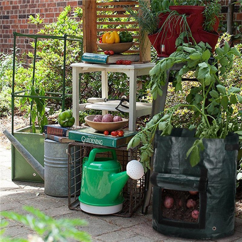 Sadzarka Do Ziemniaków O Dużej Pojemności 50l Pojemnik Pe Pokrowiec Pomidor Vegatables Garden Outdoor