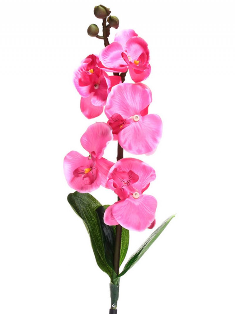 Solar Power Phalaenopsis Garden Stake Lampa Krajobrazowa Butterfly Orchid Outdoor Yard Light