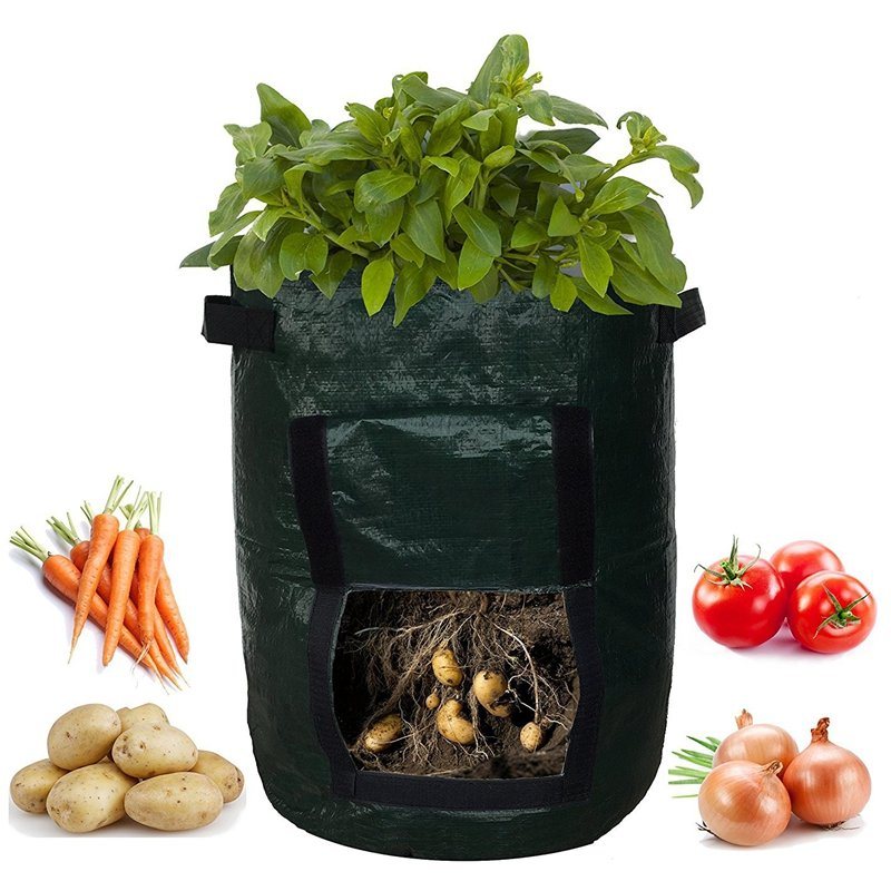 Tomatoes Grow Bag Owoce Warzywa Sadzarka Doniczki Oddychająca Włóknina Z Uchwytami Na Paski