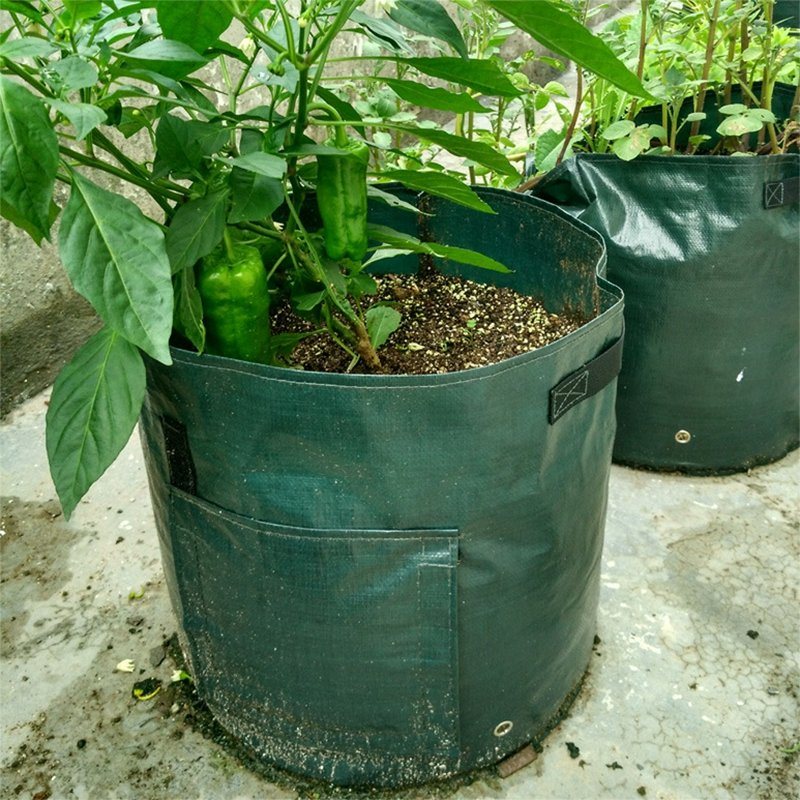 Tomatoes Grow Bag Owoce Warzywa Sadzarka Doniczki Oddychająca Włóknina Z Uchwytami Na Paski