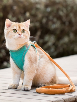 1 Pc Cat Dog Escape Proof Kamizelka Uprząż I Smycz Zestaw Odblaskowa Pet Outdoor Walking Obroża