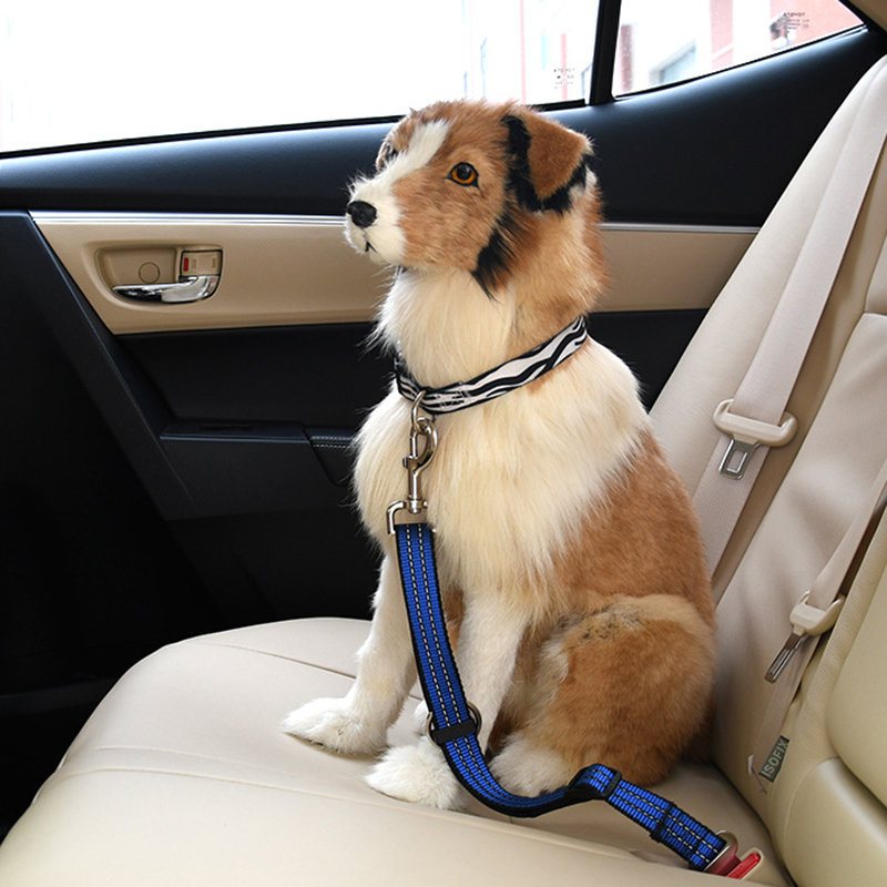 3 Kolory Pet Dog Odblaskowy Regulowany Pas Bezpieczeństwa Do Fotelika Samochodowego Puppy Travel Safety Belt