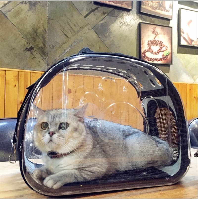 4 Kolory Przezroczysty Pvc Pet Travel Carrier Pies Kot Oddychająca Składana Torba Podróżna