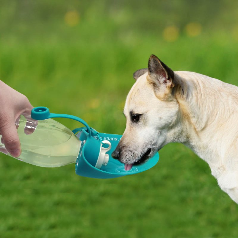 650 Ml Sport Przenośny Liść Pet Dog Butelka Na Wodę Rozszerzalna Bez Bpa Silikonowe Butelki Podróżne Dla Psa Miska