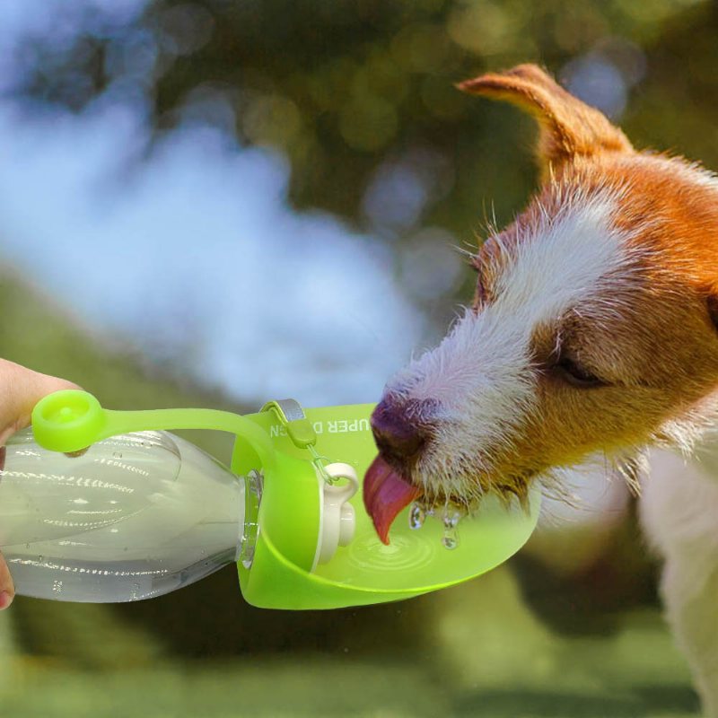 650 Ml Sport Przenośny Liść Pet Dog Butelka Na Wodę Rozszerzalna Bez Bpa Silikonowe Butelki Podróżne Dla Psa Miska