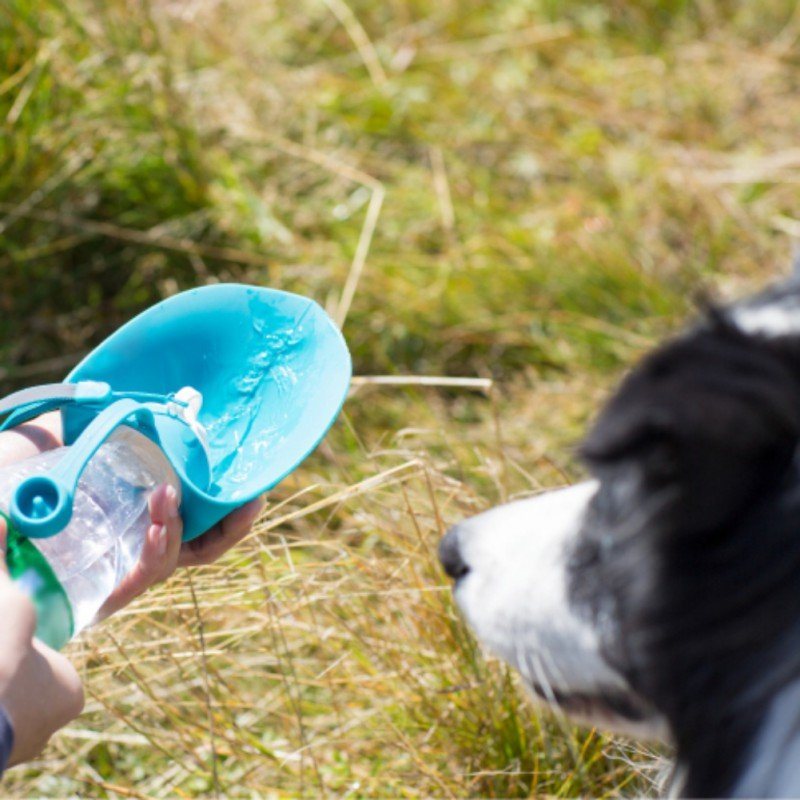 650 Ml Sport Przenośny Liść Pet Dog Butelka Na Wodę Rozszerzalna Bez Bpa Silikonowe Butelki Podróżne Dla Psa Miska