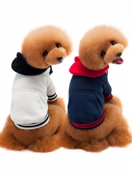 Bluzy Dla Psów Sweter Bawełniany Dopasowany Kolor Puppy Sportowe Teddy Odzież