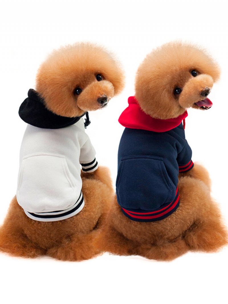 Bluzy Dla Psów Sweter Bawełniany Dopasowany Kolor Puppy Sportowe Teddy Odzież