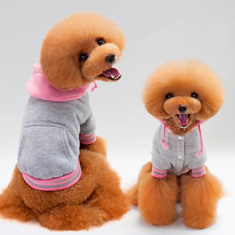 Bluzy Dla Psów Sweter Bawełniany Dopasowany Kolor Puppy Sportowe Teddy Odzież