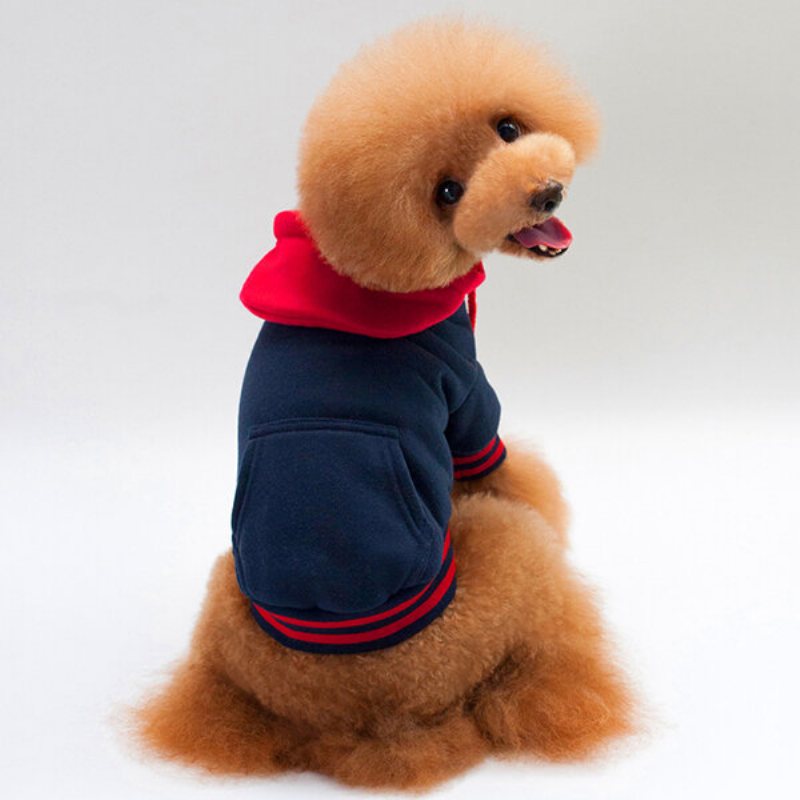 Bluzy Dla Psów Sweter Bawełniany Dopasowany Kolor Puppy Sportowe Teddy Odzież