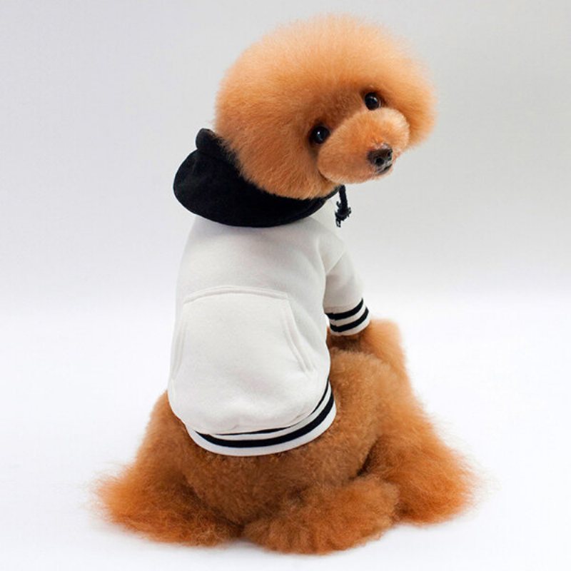 Bluzy Dla Psów Sweter Bawełniany Dopasowany Kolor Puppy Sportowe Teddy Odzież