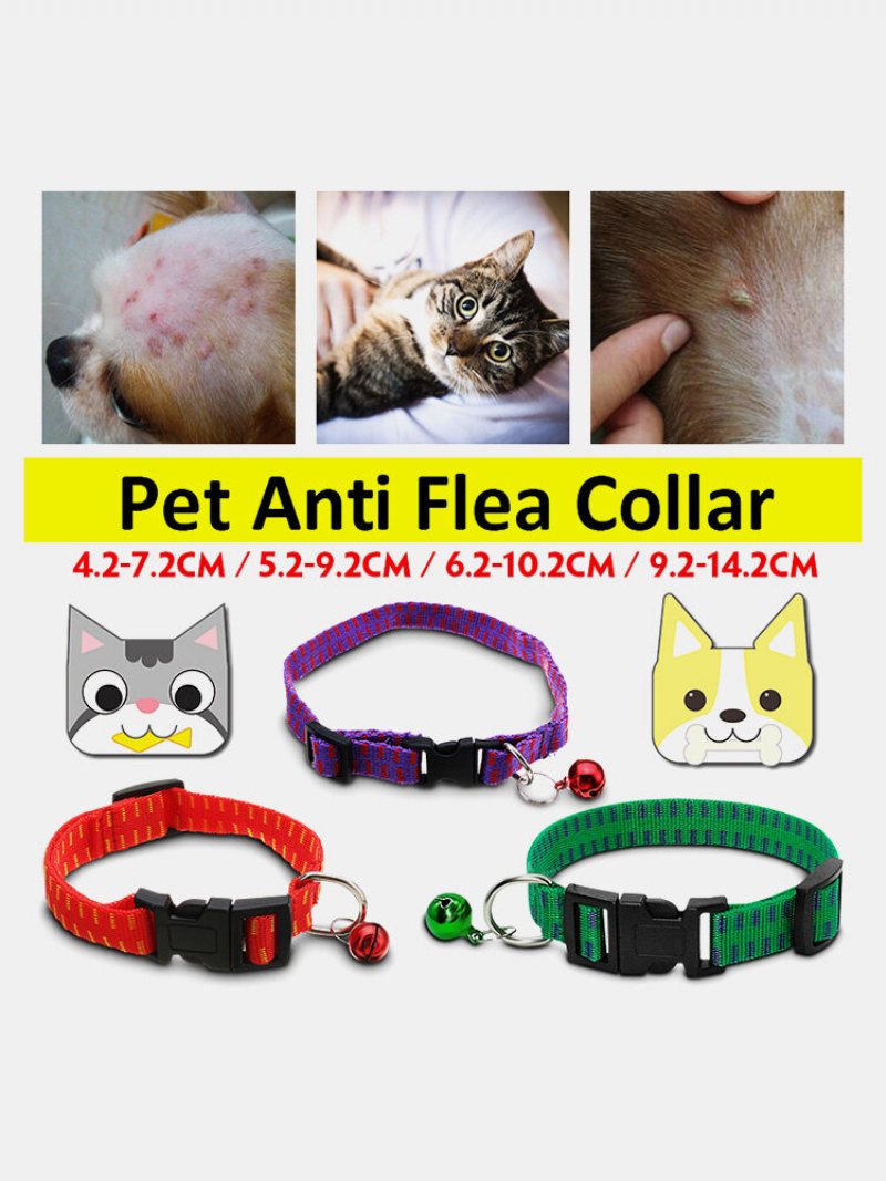 Cat Anti Flea Ring Obroża Przeciw Pchłom Owadom