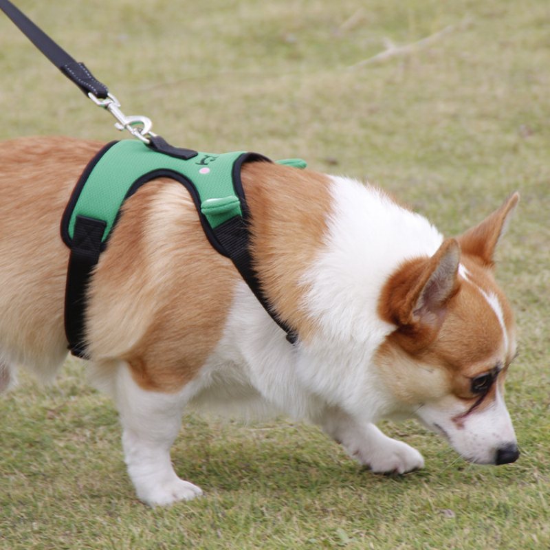 Cute Frog Dog Pasek Na Klatkę Piersiową Corgi Walka Kamizelka Trakcyjna Dla Zwierząt Domowych