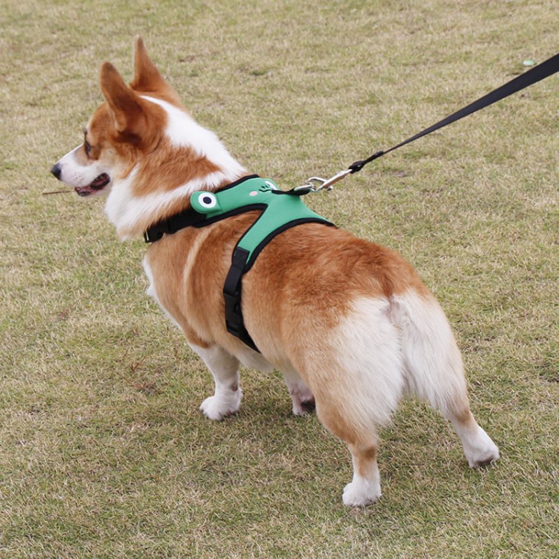 Cute Frog Dog Pasek Na Klatkę Piersiową Corgi Walka Kamizelka Trakcyjna Dla Zwierząt Domowych