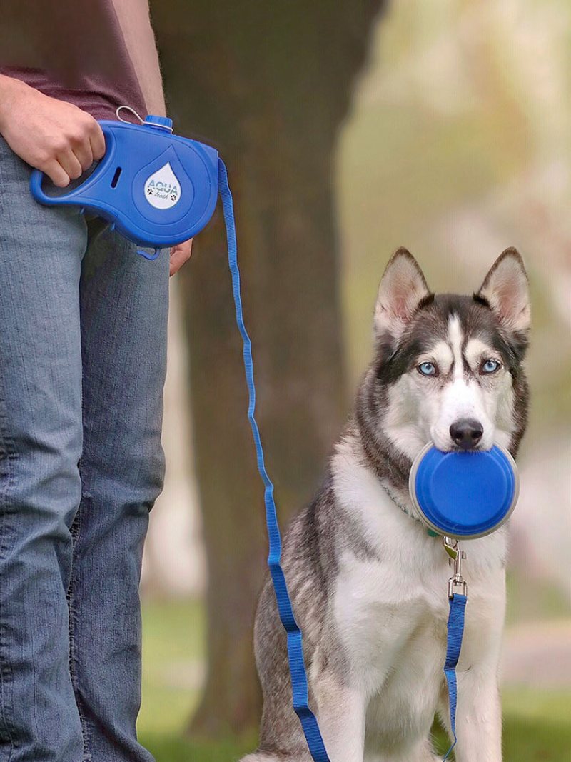 Cztery W Jednym Smycz Dla Psa Miska Na Butelkę Z Wodą Hak Na Worek Na Śmieci Przenośny Projekt Outdoot Pet Supplies