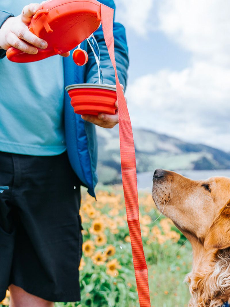 Cztery W Jednym Smycz Dla Psa Miska Na Butelkę Z Wodą Hak Na Worek Na Śmieci Przenośny Projekt Outdoot Pet Supplies