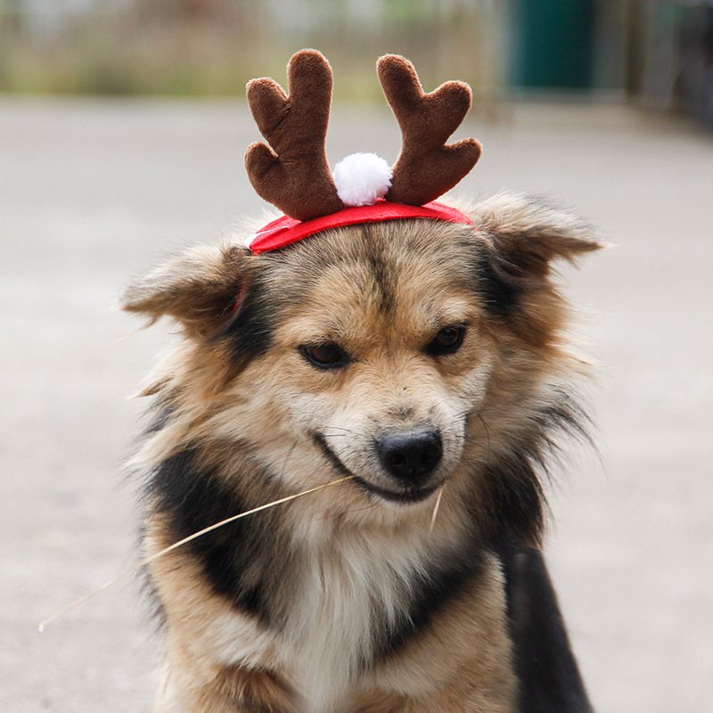 Ozdoba Świąteczna Pet Deer Antler Headgear Dziecięca Do Włosów Z Poroża Łosia