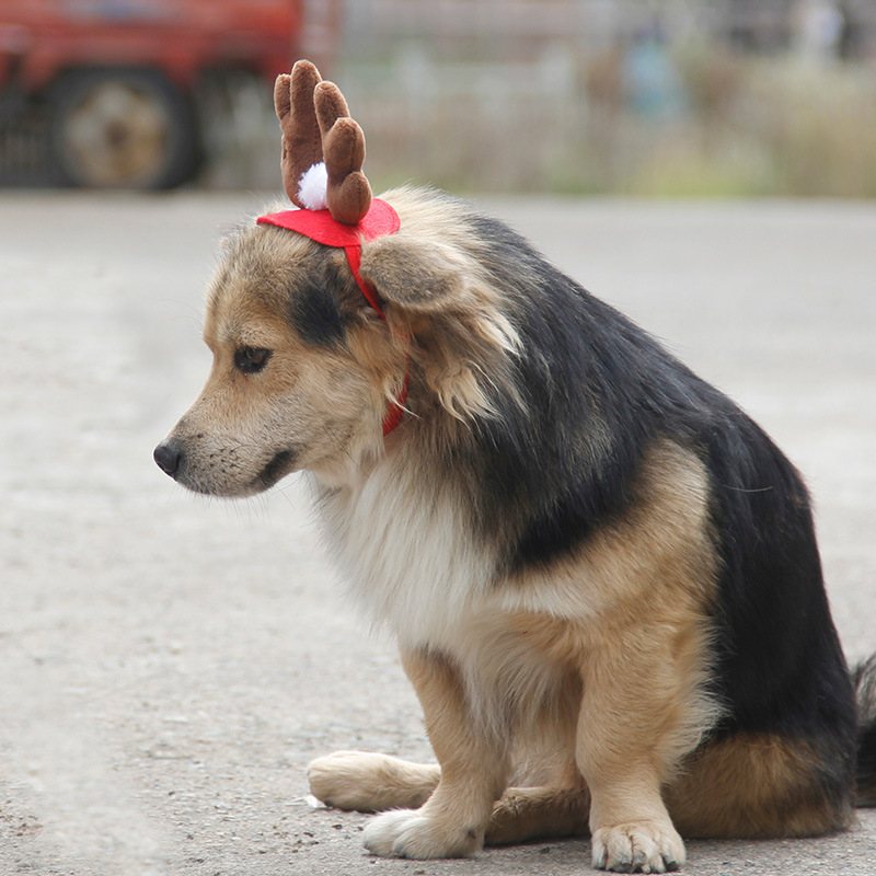 Ozdoba Świąteczna Pet Deer Antler Headgear Dziecięca Do Włosów Z Poroża Łosia