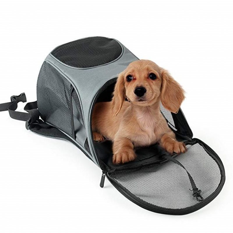 Pet Carrier Premium Travel Outdoor Mesh Plecak Torba Do Noszenia Akcesoria Pies Kot Królik Klatka Dla Małych Zwierząt Domowych