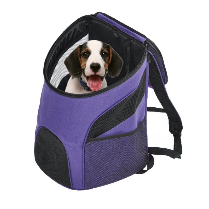 Pet Carrier Premium Travel Outdoor Mesh Plecak Torba Do Noszenia Akcesoria Pies Kot Królik Klatka Dla Małych Zwierząt Domowych