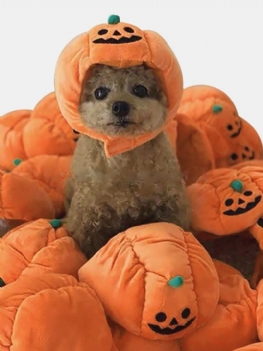 Pet Halloween Pumpkin Hat Teddy Dress Up Dog Cat Party Akcesoria
