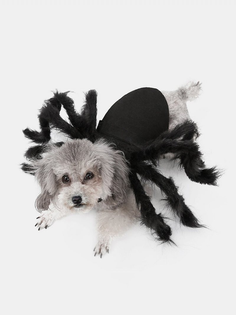 Pet Halloween Zabawny Pająk Ubrania Kot Pies Horror Symulacja Pluszowy Transformacja Party Dress