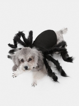 Pet Halloween Zabawny Pająk Ubrania Kot Pies Horror Symulacja Pluszowy Transformacja Party Dress