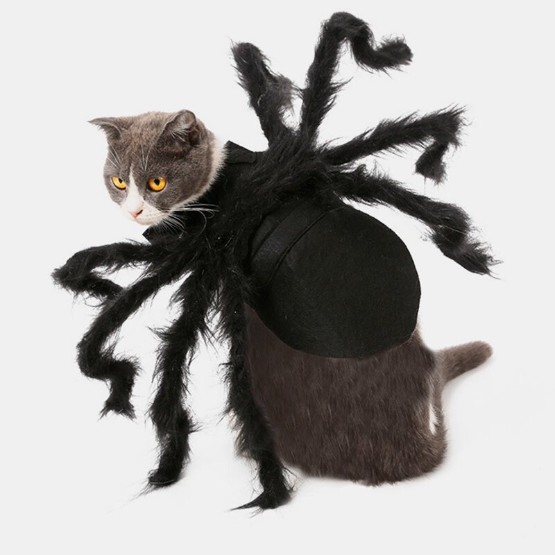 Pet Halloween Zabawny Pająk Ubrania Kot Pies Horror Symulacja Pluszowy Transformacja Party Dress