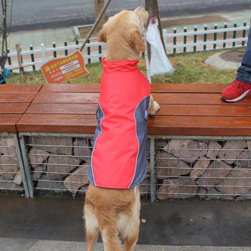 Wodoodporna Kurtka Dla Szczeniaka Kamizelka Zimowa Ciepła Odzież Dla Zwierząt Ropa Para Perros Dla Psów M ~ 3xl